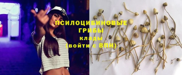 дистиллят марихуана Магас