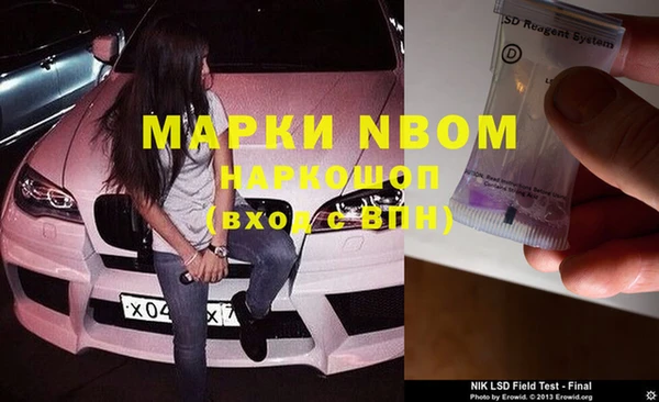ECSTASY Майский