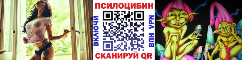 Псилоцибиновые грибы MAGIC MUSHROOMS где купить наркоту Волгодонск